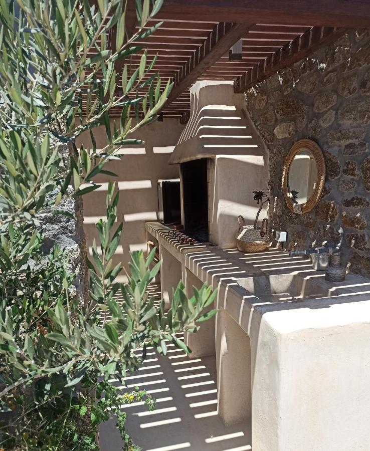 Aviola Mykonos Villa Ftelia  Buitenkant foto
